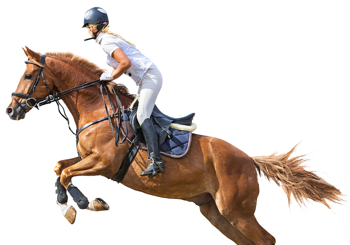 Horse-Riding-isolated
