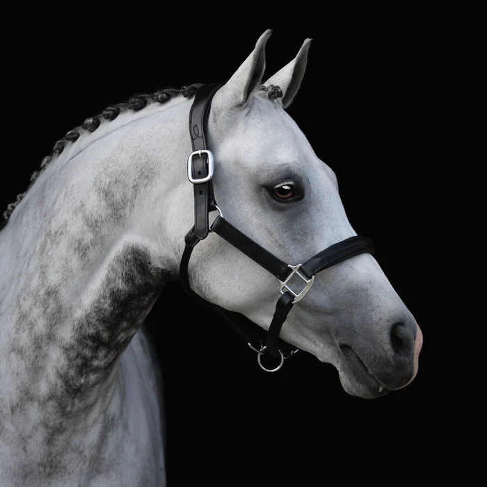 ALIZE LEATHER HALTER - Image 2