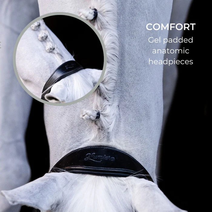 ALIZE LEATHER HALTER - Image 3