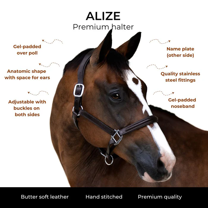 ALIZE LEATHER HALTER - Image 4