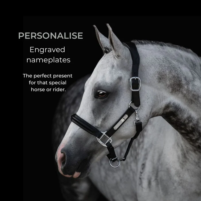 ALIZE LEATHER HALTER - Image 6