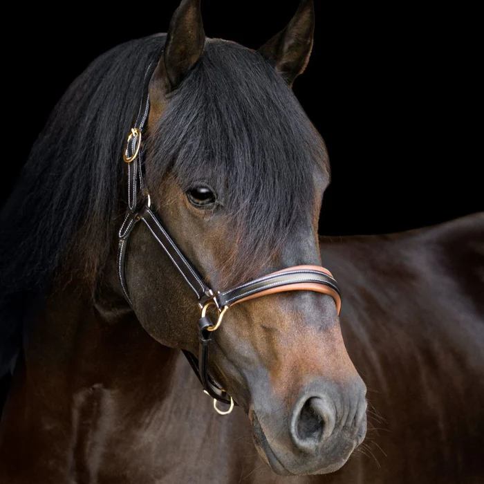 Riding Gear | Riding Gear Shop | Equestrian Emporium | Equestrian Supplies | Equestrian Store | Riding Gear | Horse Riding Geae | Horse Supplies | Equestrian Store | Equestrian Products Online | Equestrian Store Bairnsdale | Bairnsdale | Horse Store Online | Horse Shop | Equestrian Shop | Riding Gear | Horse Riding Gear