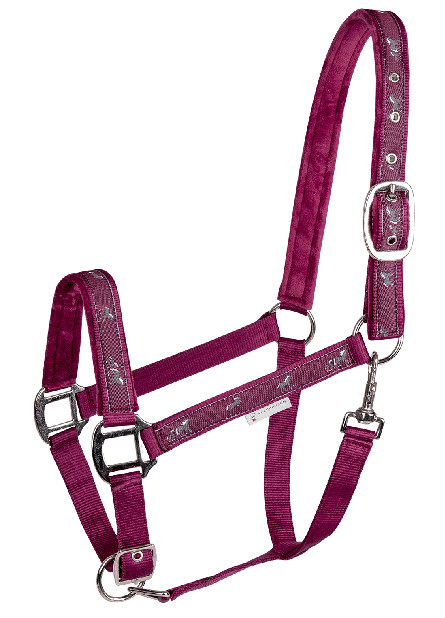 Waldhausen Little Horse Halters - Image 4