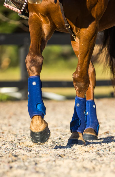 Bare AIRFLOW Pro Sport Boots - Blue - Image 4