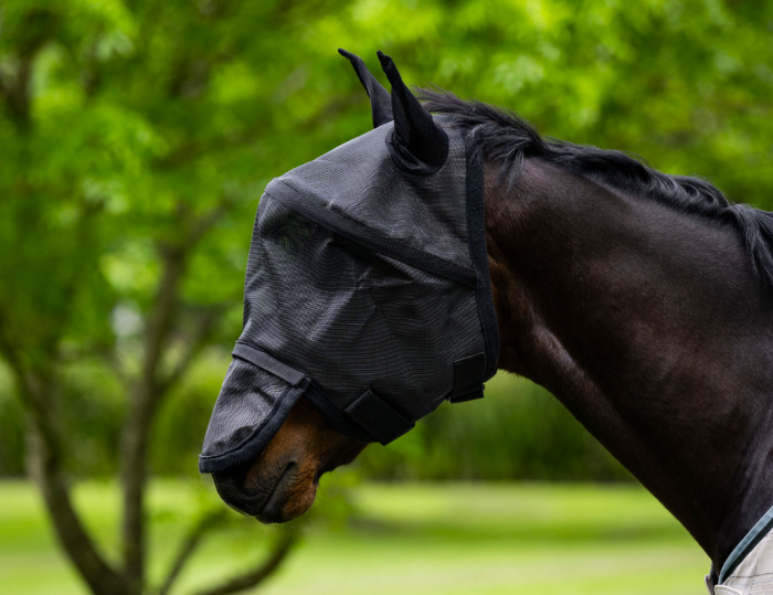 Eureka 3D Fly Mask