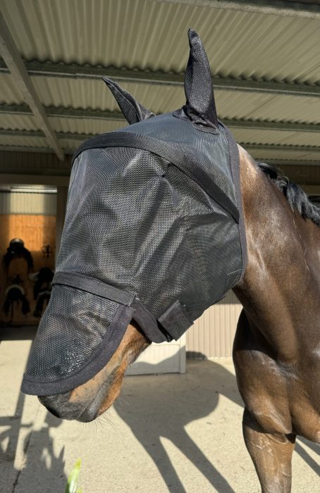 Eureka 3D Fly Mask - Image 2