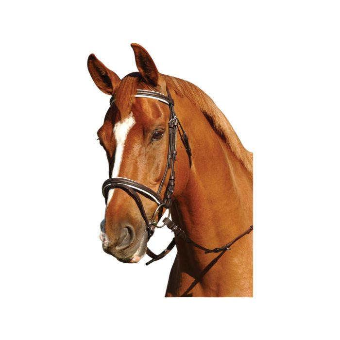 Eureka Eventing Bridle Black