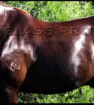 HSE Glass Coat Laminator - Image 2