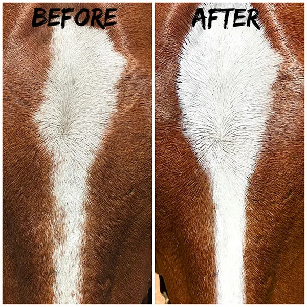 NTR Pure White - Image 3