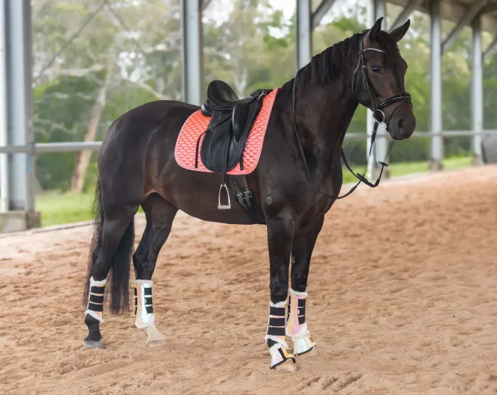 Sunkissed Bell Boots - Limited Edition - Image 3