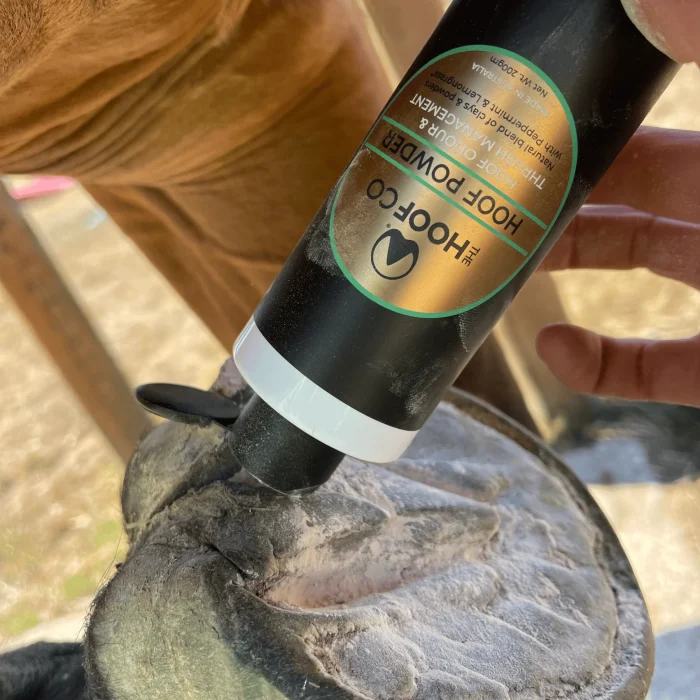 HoofCo Hoof Powder - Thrush & Odour Management - Image 3