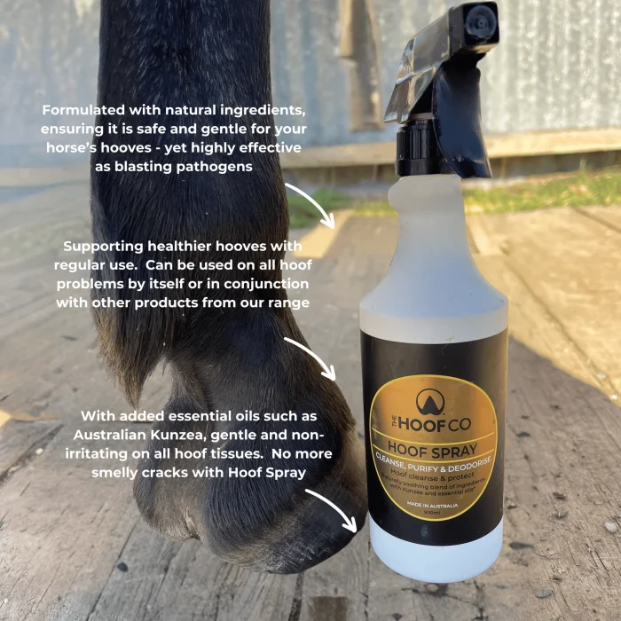 Hoof Spray - 500ml with Kunzea Oil - Image 2
