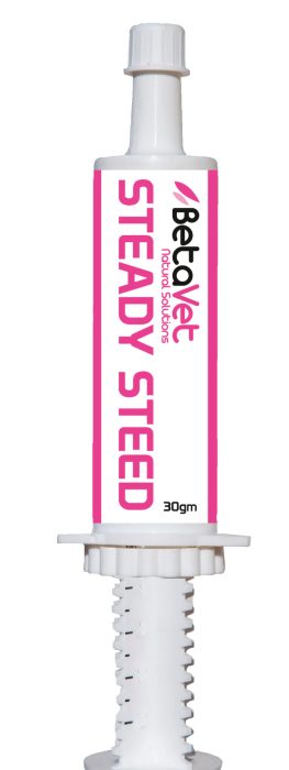 BetaVet Steady Steed Paste