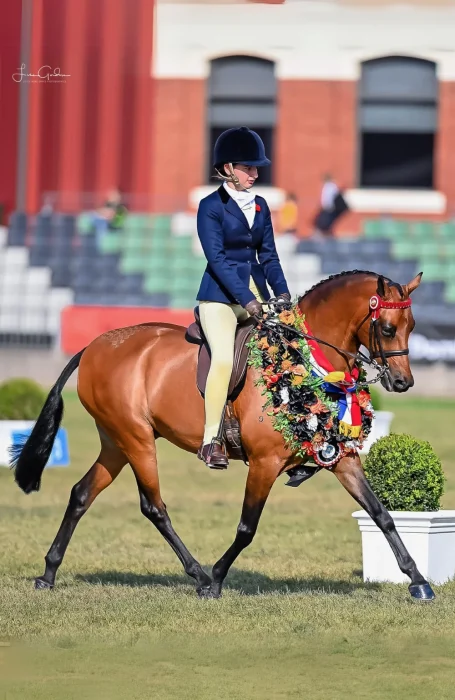 Bare Competition Tights - Lemon Butter - Image 2