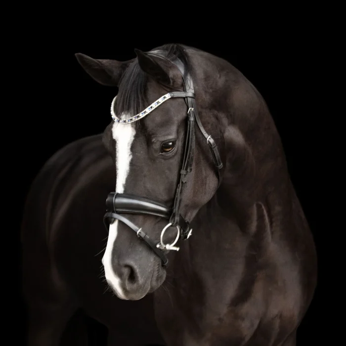 Lumiere Anastasia Leather Convertible Bridle - Image 2