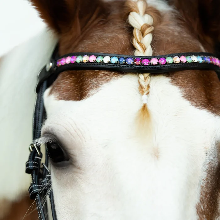 Lumi Pony Rainbow Bridle - Image 2