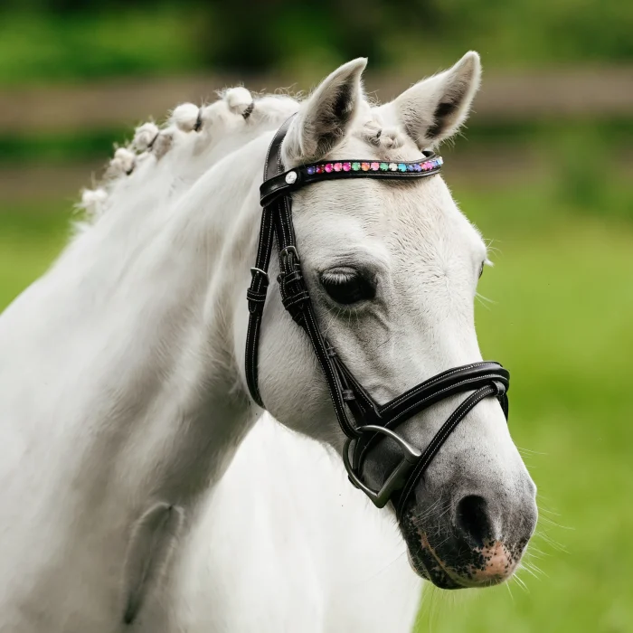 Lumi Pony Rainbow Bridle - Image 3
