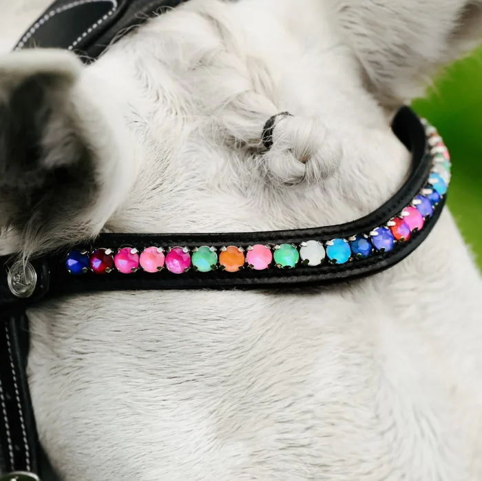 Lumi Pony Rainbow Bridle - Image 4