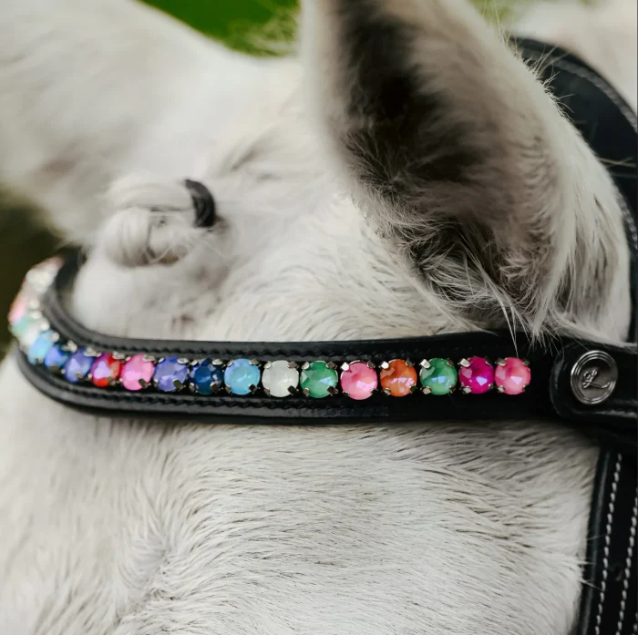 Lumi Pony Rainbow Bridle - Image 6