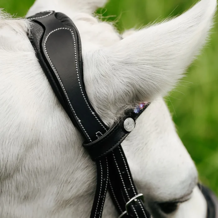 Lumi Pony Rainbow Bridle - Image 7