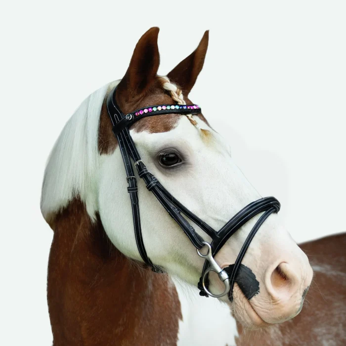 Lumi Pony Rainbow Bridle - Image 9