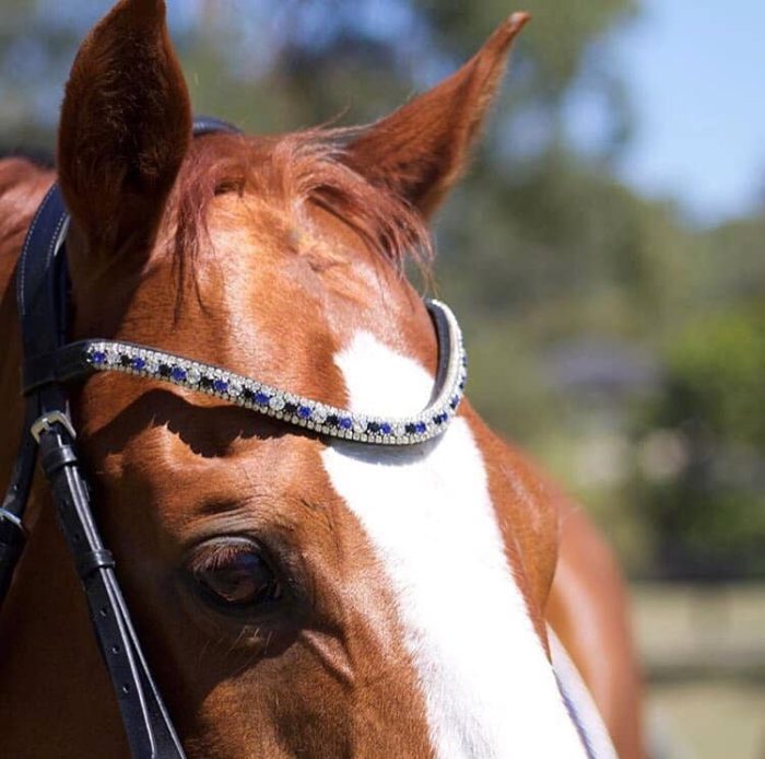 Lumiere Anastasia Leather Convertible Bridle - Image 4