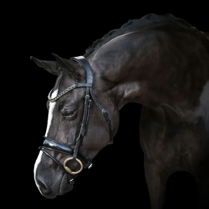 Lumiere Audrey Hanoverian Rolled Leather Bridle - Image 2