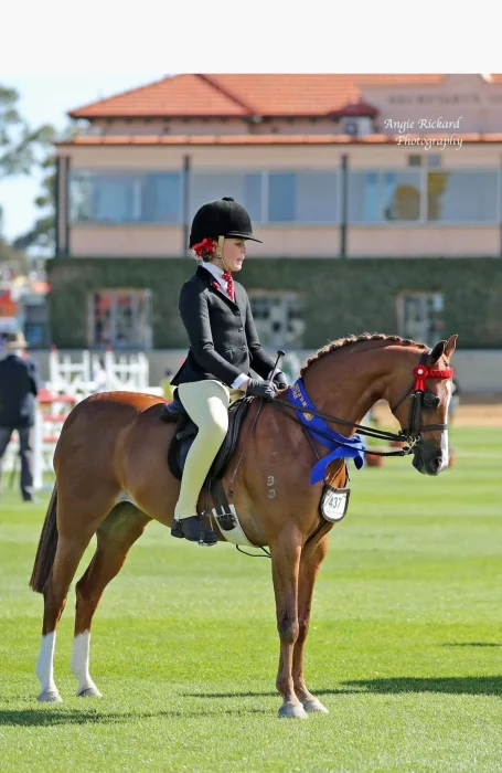 Bare Competition Tights - Lemon Butter - Image 3