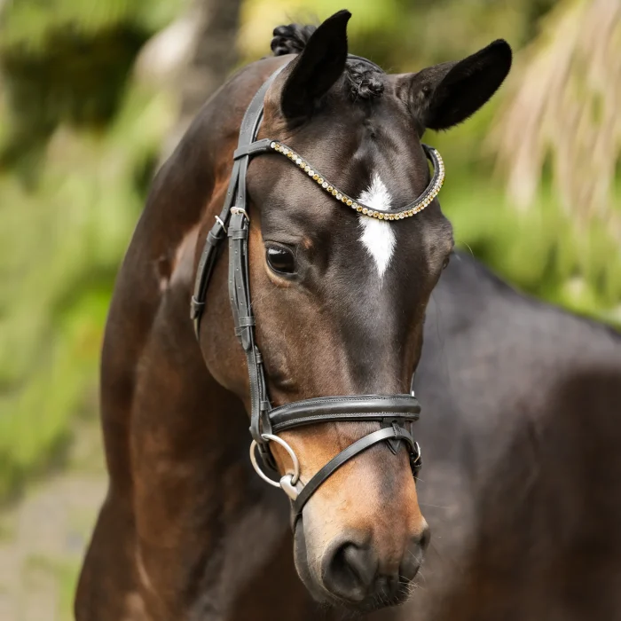Lumiere Megan Leather Convertible Bridle - Image 2