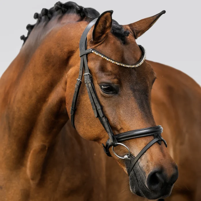 Lumiere Megan Leather Convertible Bridle
