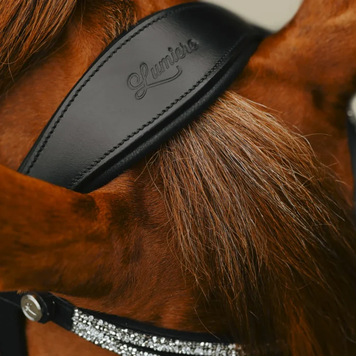 Lumi Pony Princess Bridle - Image 6