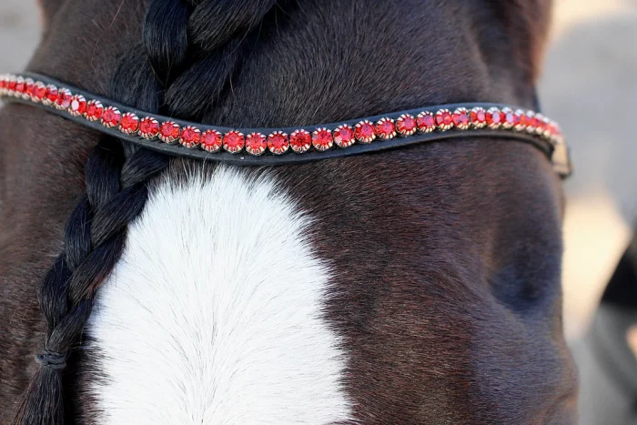 Easy-Click Browband - Romeo