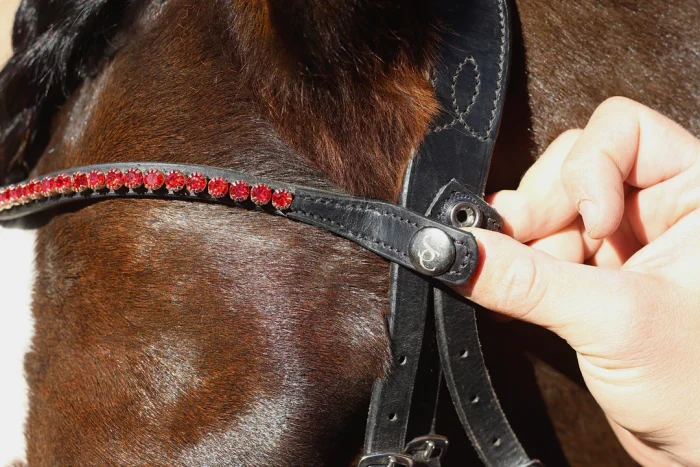 Easy-Click Browband - Romeo - Image 2