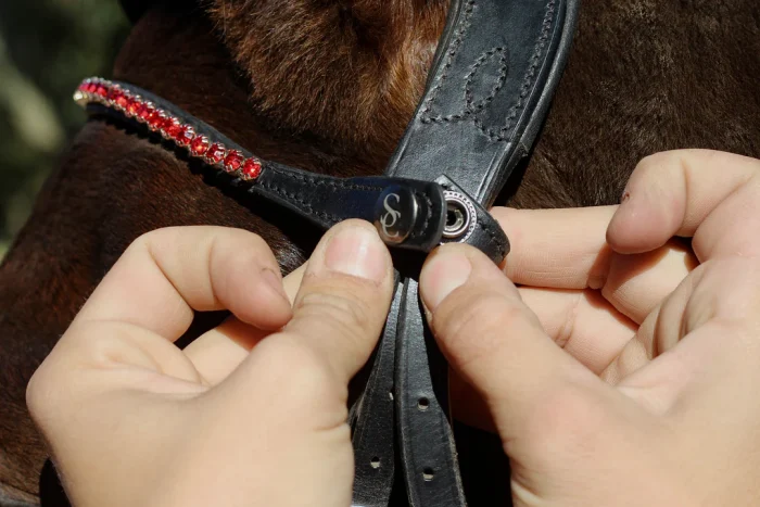 Easy-Click Browband - Romeo - Image 3