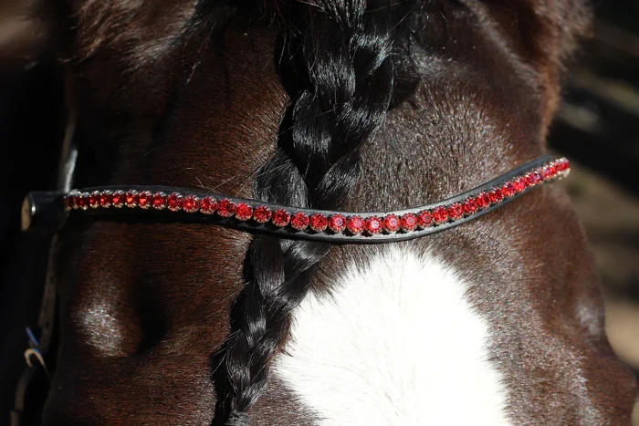 Easy-Click Browband - Romeo - Image 4