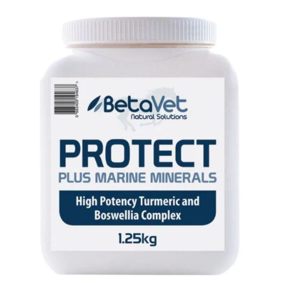 BetaVet Protect+ Optimal Soundness 500g