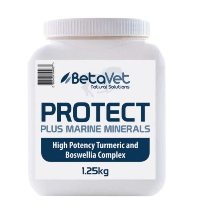 BetaVet Protect+ Optimal Soundness 500g