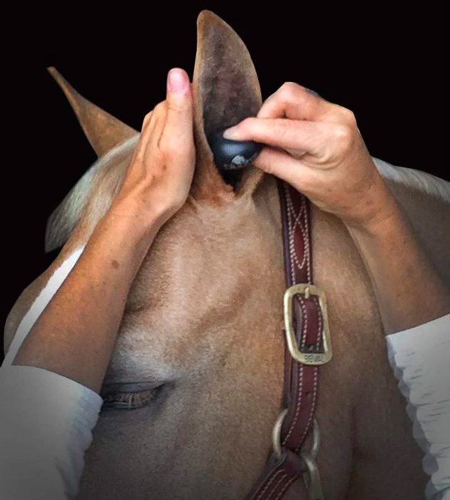 Plughz Ear Plugs - Image 5