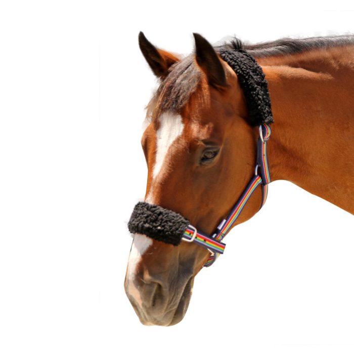 Halter Covers - 2 piece Black