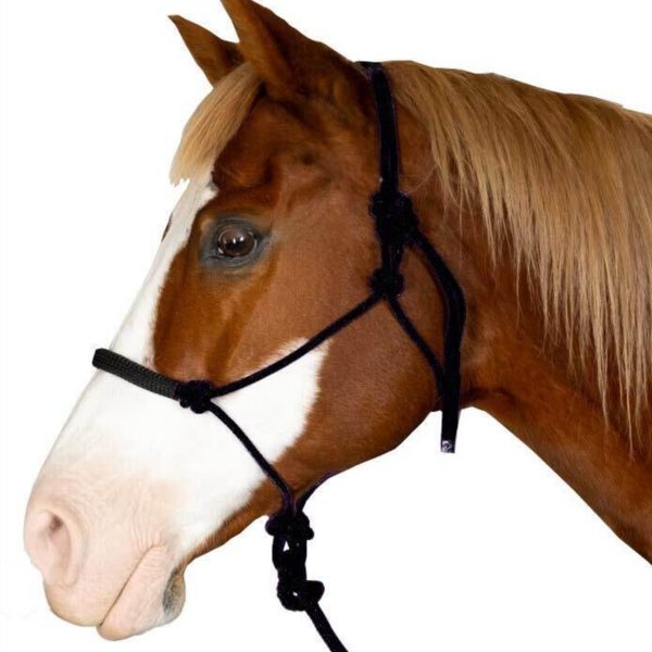 Rope Halter & Lead Set - Black