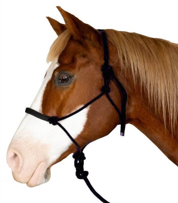 Rope Halter & Lead Set - Black