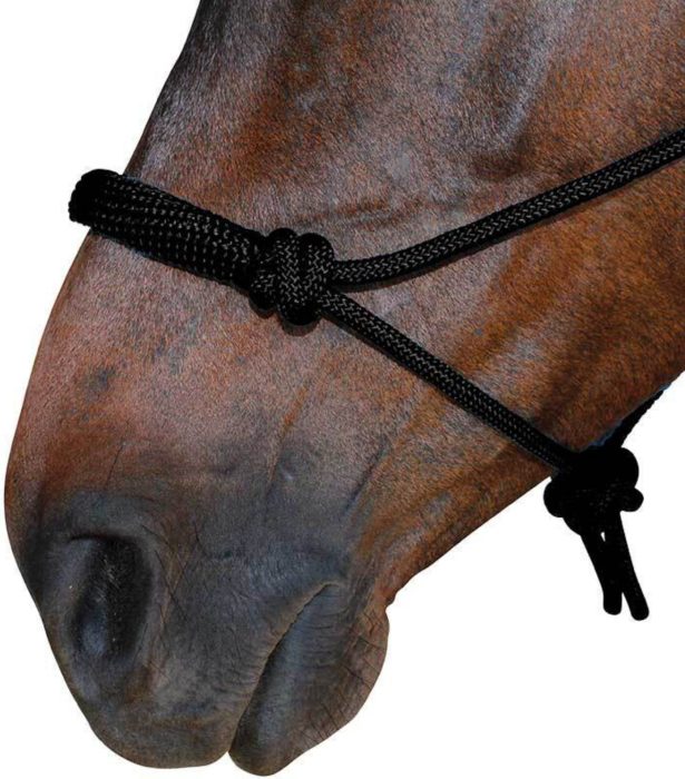 Rope Halter & Lead Set - Black - Image 2