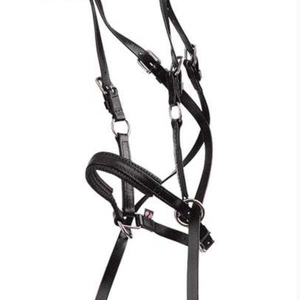 Bitless Bridle - Arab Black