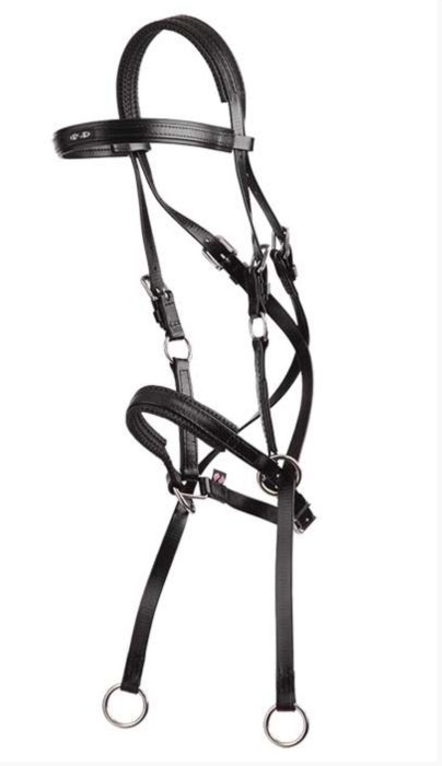 Bitless Bridle - Arab Black