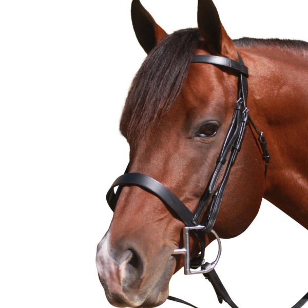 McAlister Flat Cavesson Bridle - Black