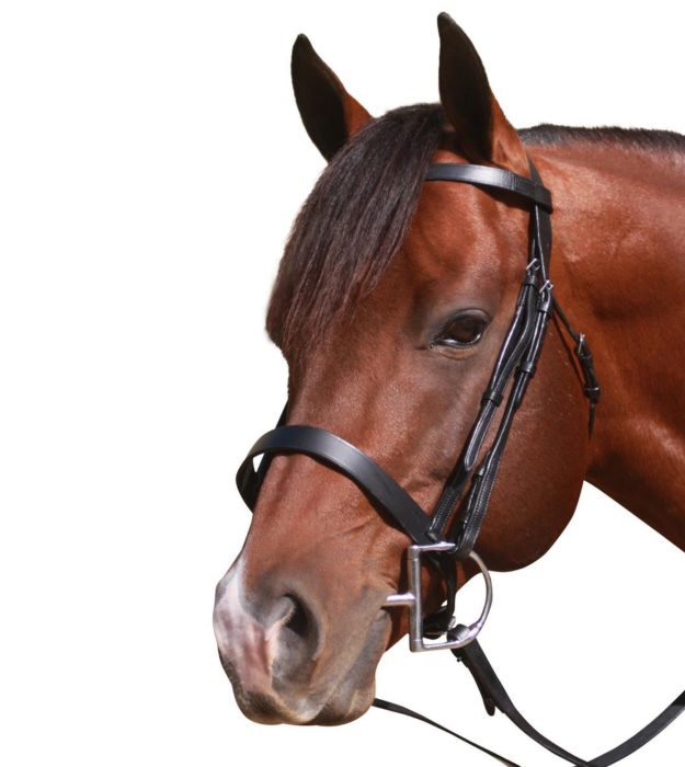 McAlister Flat Cavesson Bridle - Black