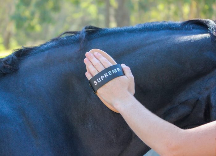 GeeGee Collective - Supreme Body Brush - Image 4