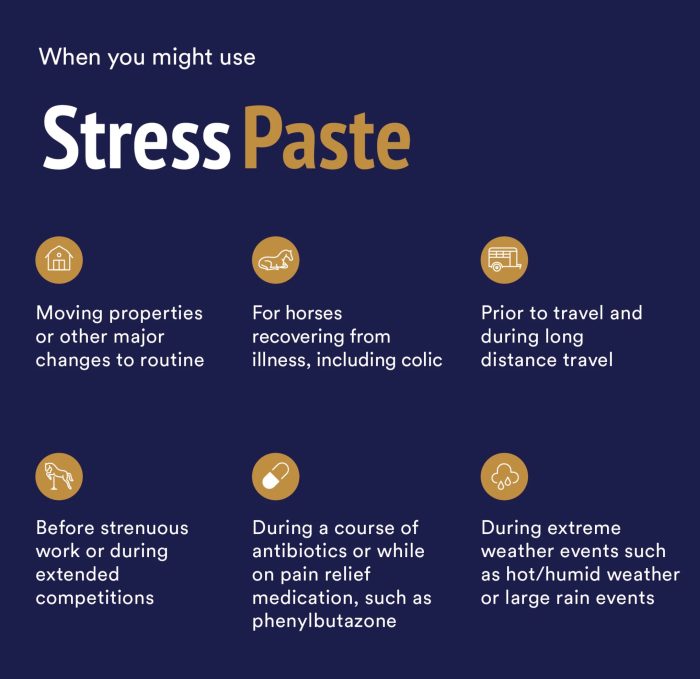 Poseidon Stress Paste - 60ml - Image 2