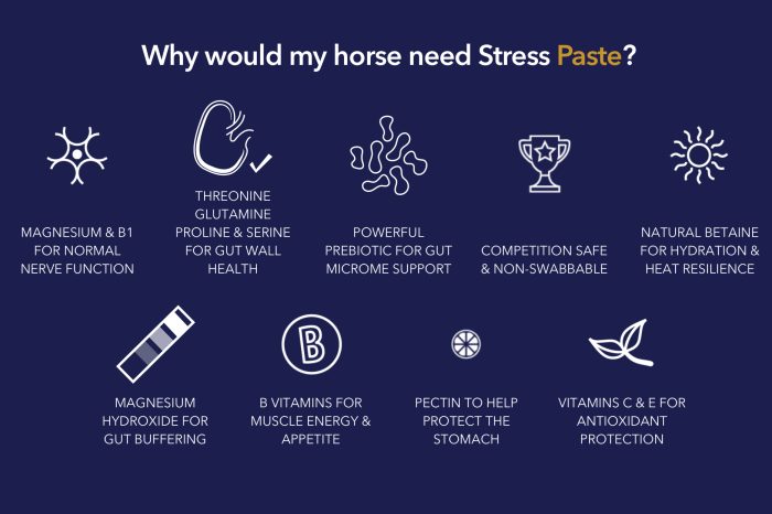 Poseidon Stress Paste - 60ml - Image 4