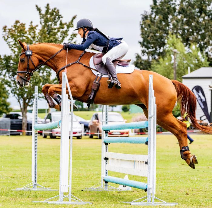 Poseidon Digestive HP - Sporthorse Gut Support 4kg Tub - Image 4